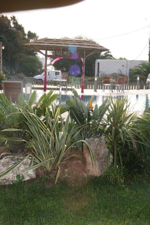 Aparthotel Harmony Agia Anna (Naxos)